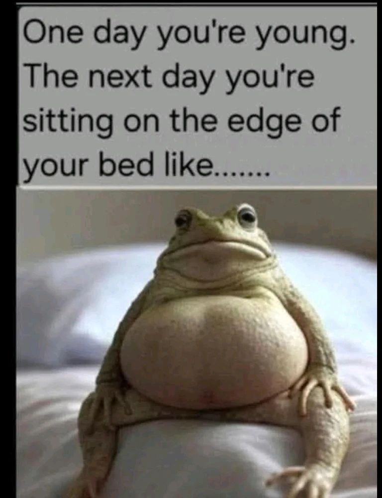 GIF uppladdad av Elias