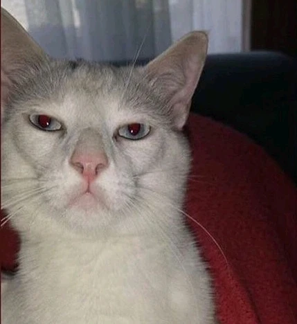 GIF uploaded by Aylin