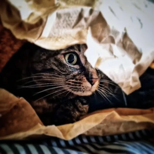 Immagine caricata da Alessandro