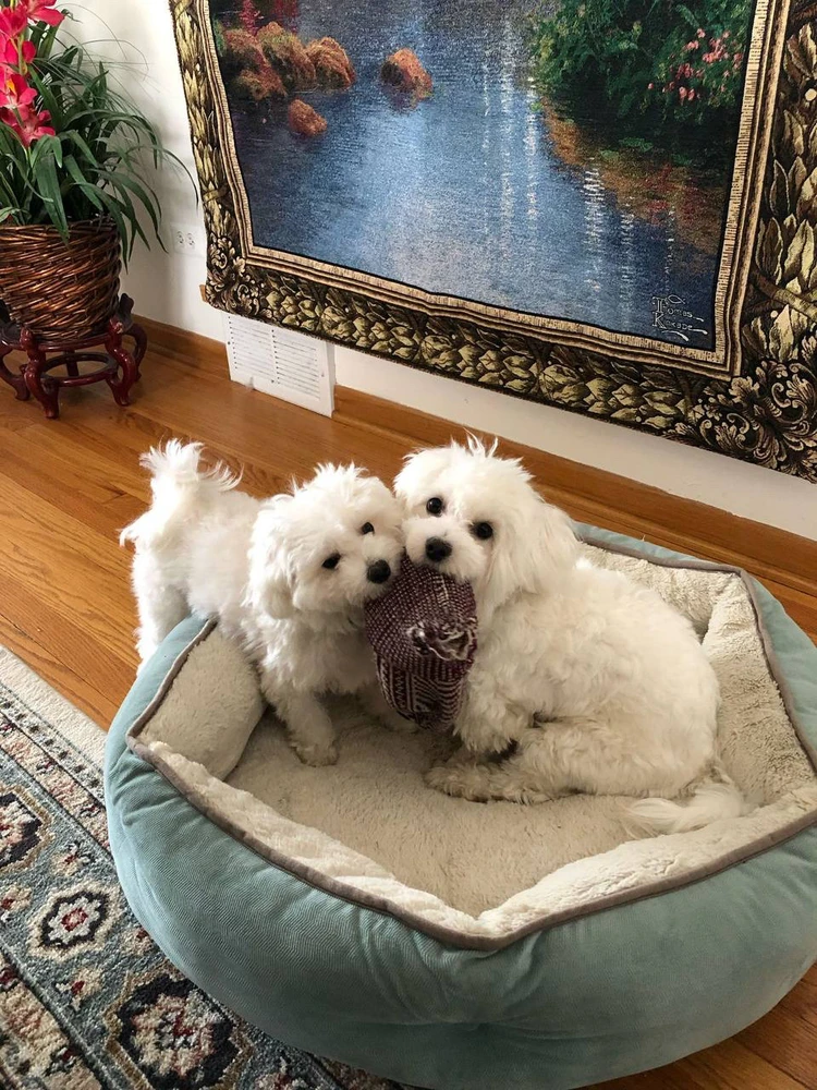 Both of you are so cute