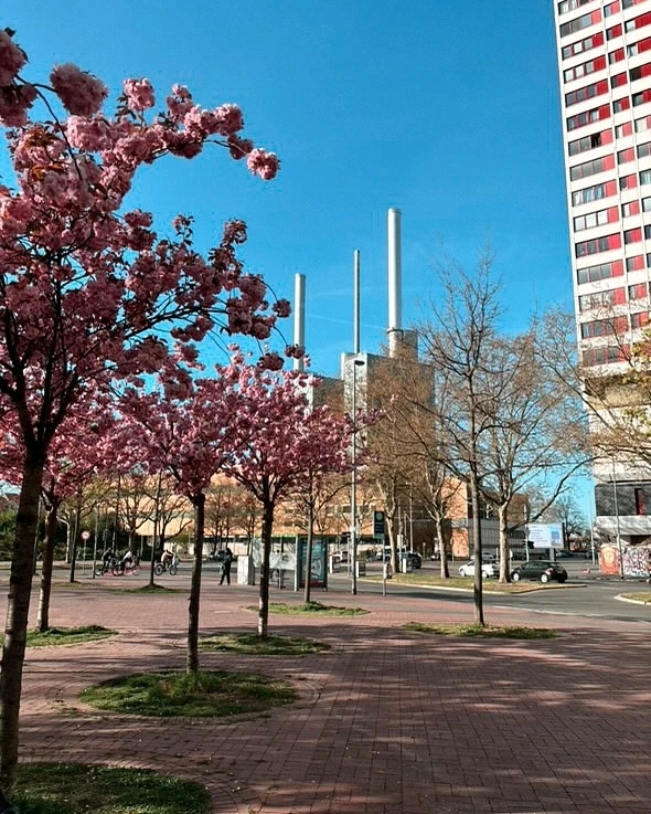 GIF caricata da Enrico