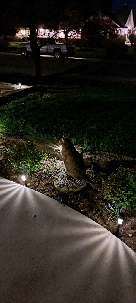 GIF uploaded by Xavier