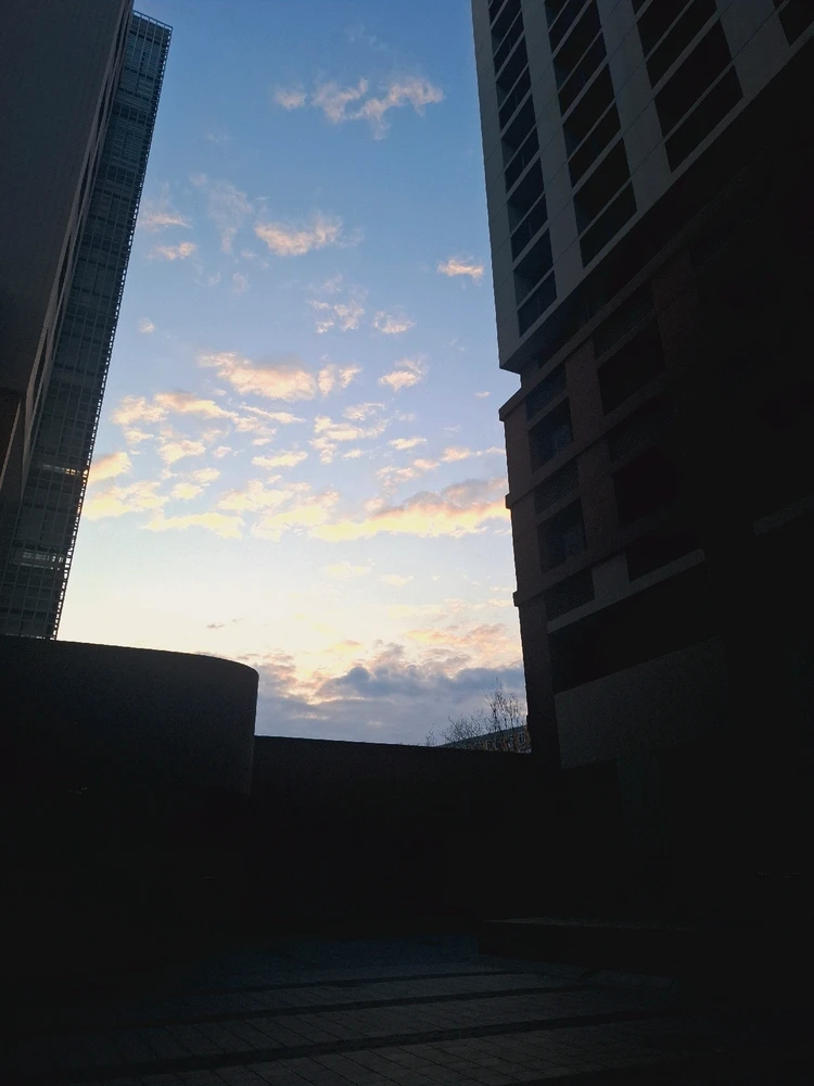 Image uploaded by Nero