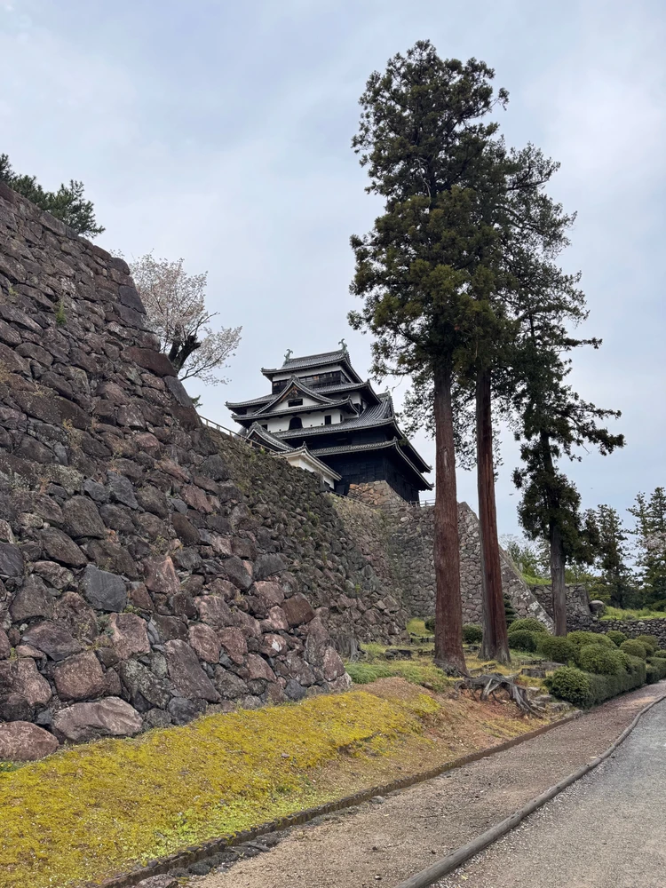 Image uploaded by Cal