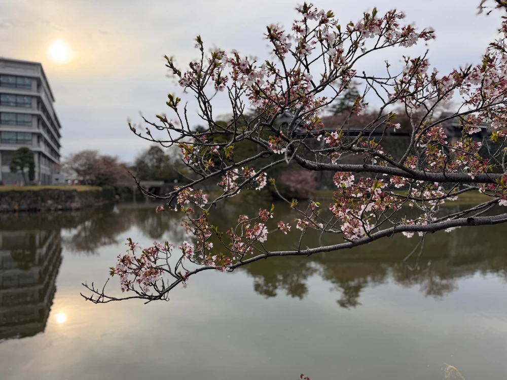 Image uploaded by Cal