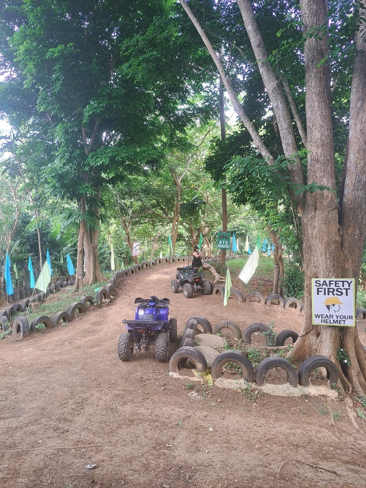 GIF diunggah dening CJ