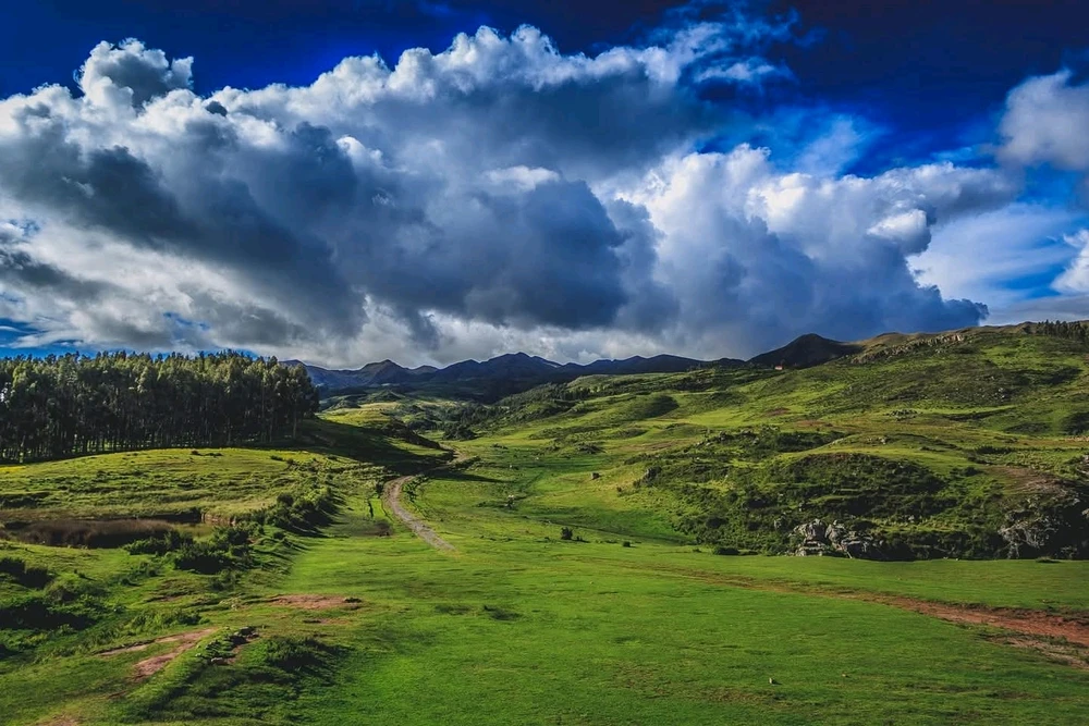 GIF subido por Nicolas