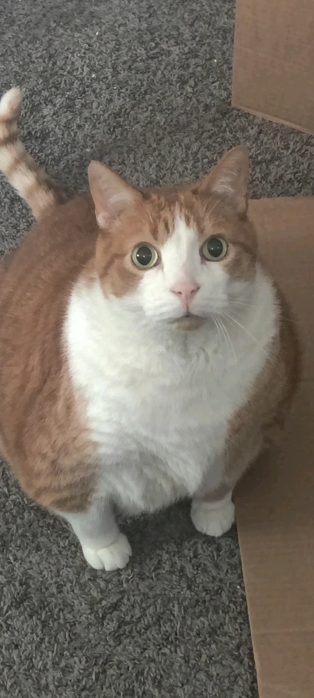 GIF uploaded by Mike Roffman