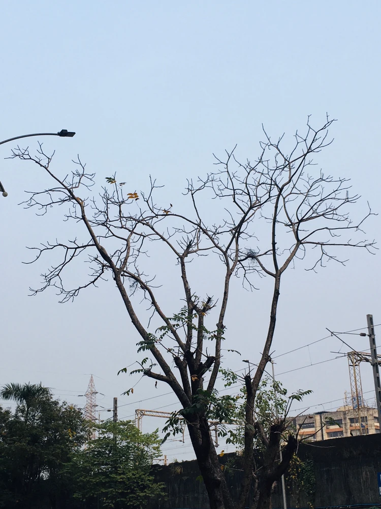 GIF uploaded by Raj