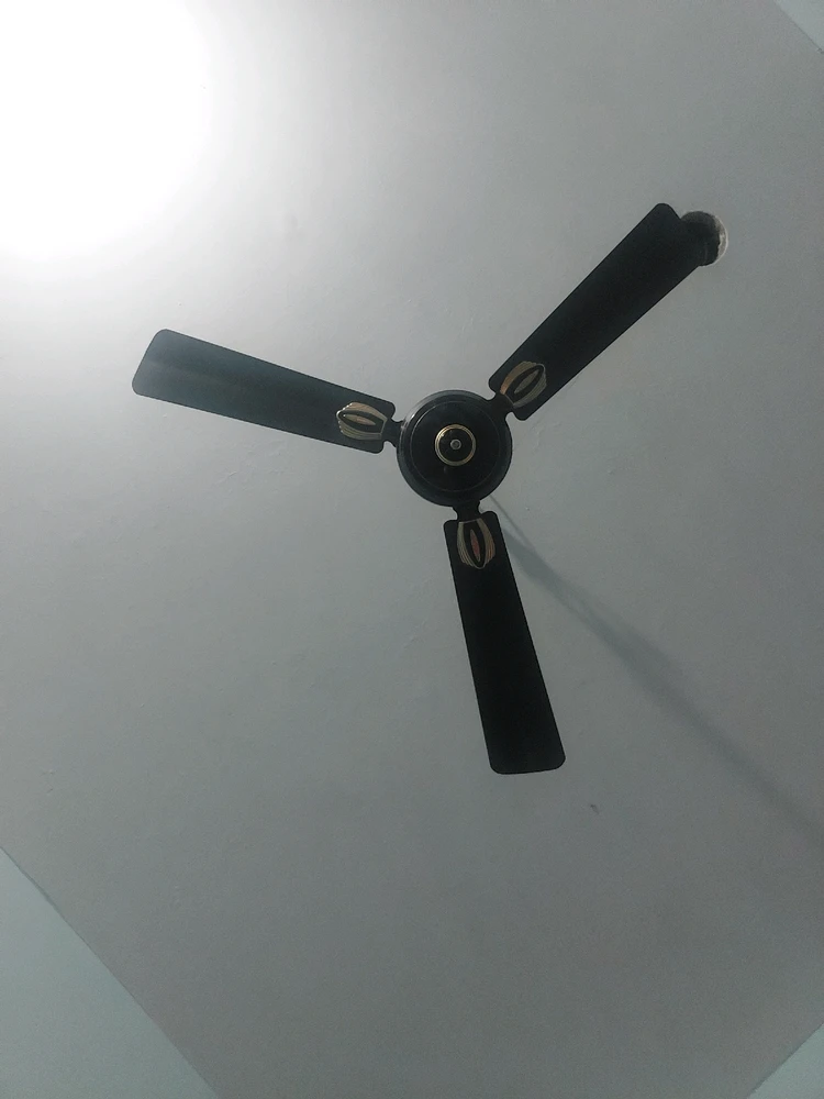 GIF uploaded by Prachi