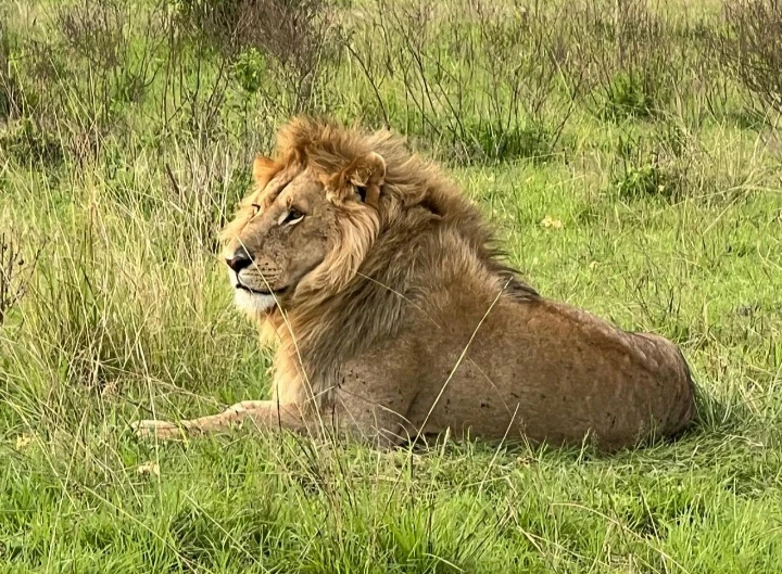 GIF diunggah dening Nashami