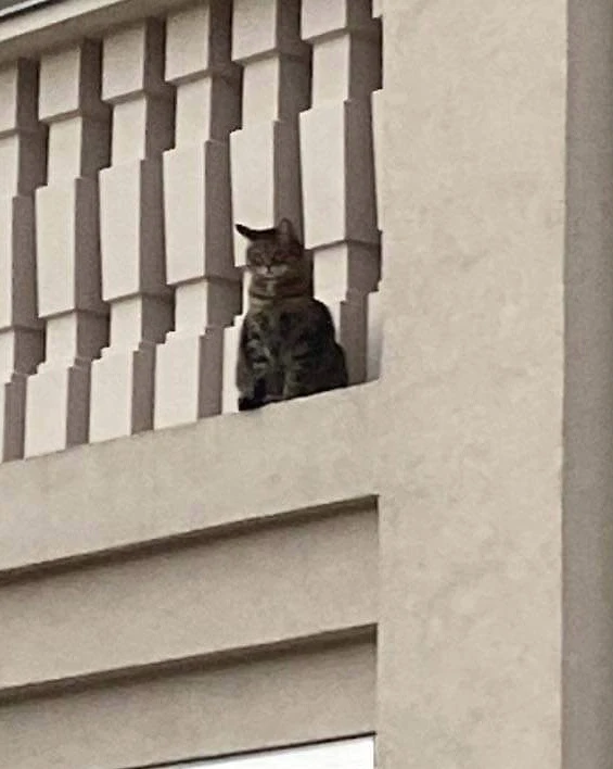 Obrázek nahrál Michaela