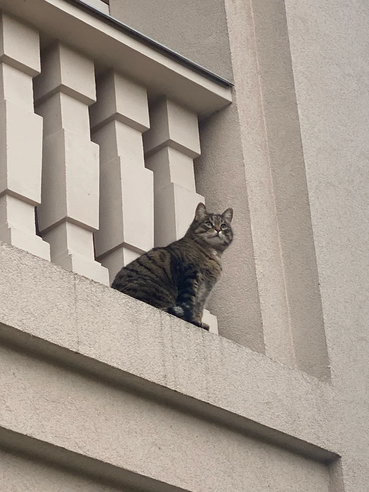 Obrázek nahrál Michaela