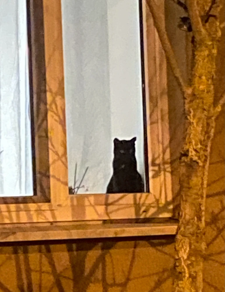 Obrázek nahrál Michaela