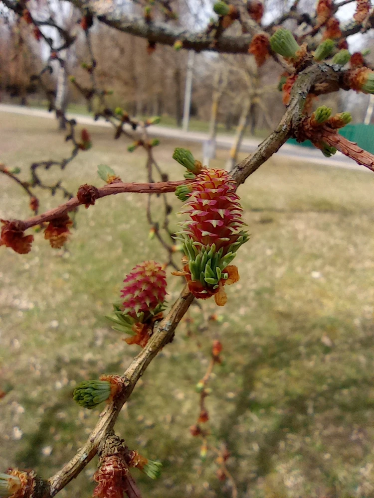 GIF uploaded by Olga