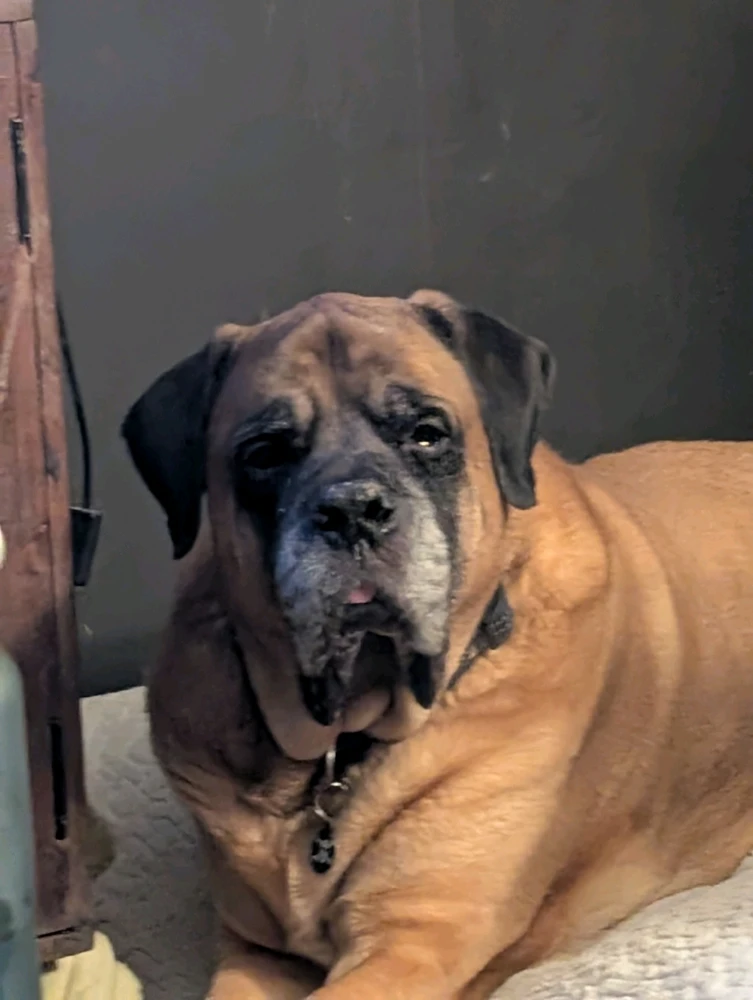 GIF uploaded by Grant