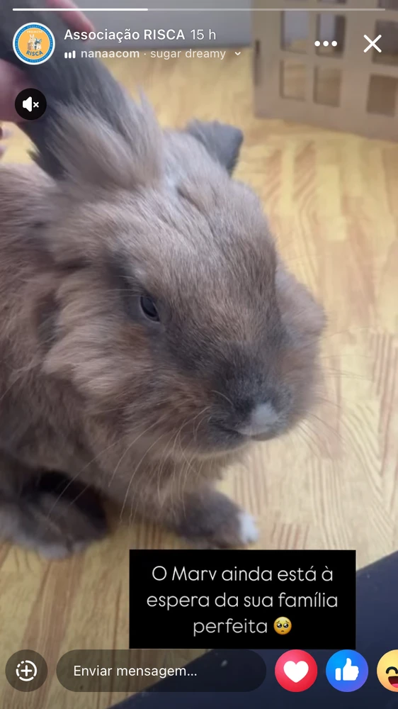 GIF enviado por Helena