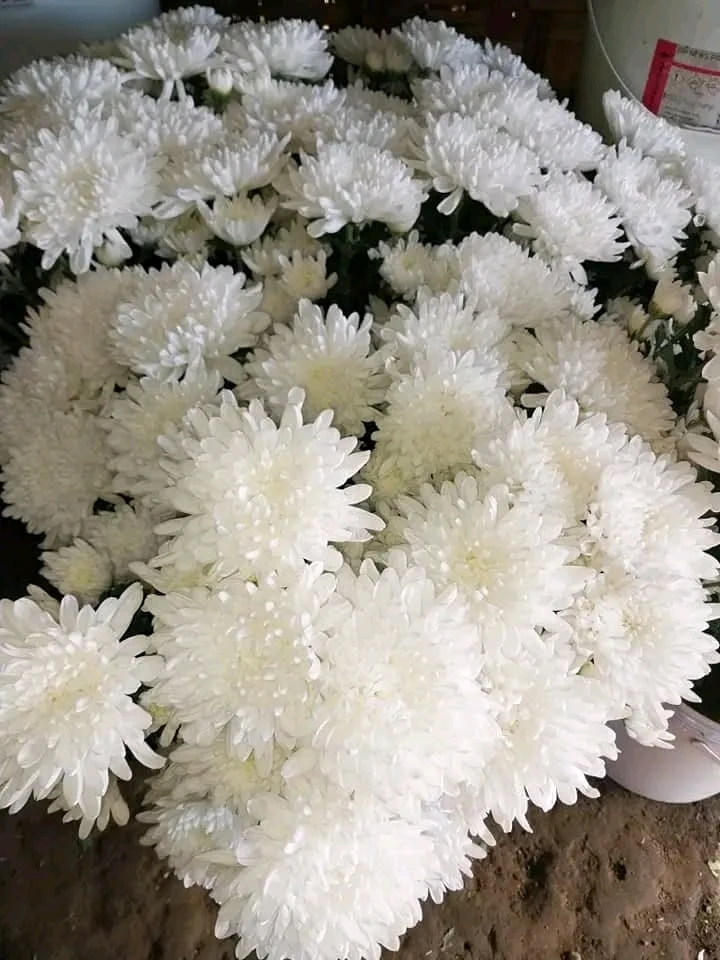 GIF diunggah oleh Nita