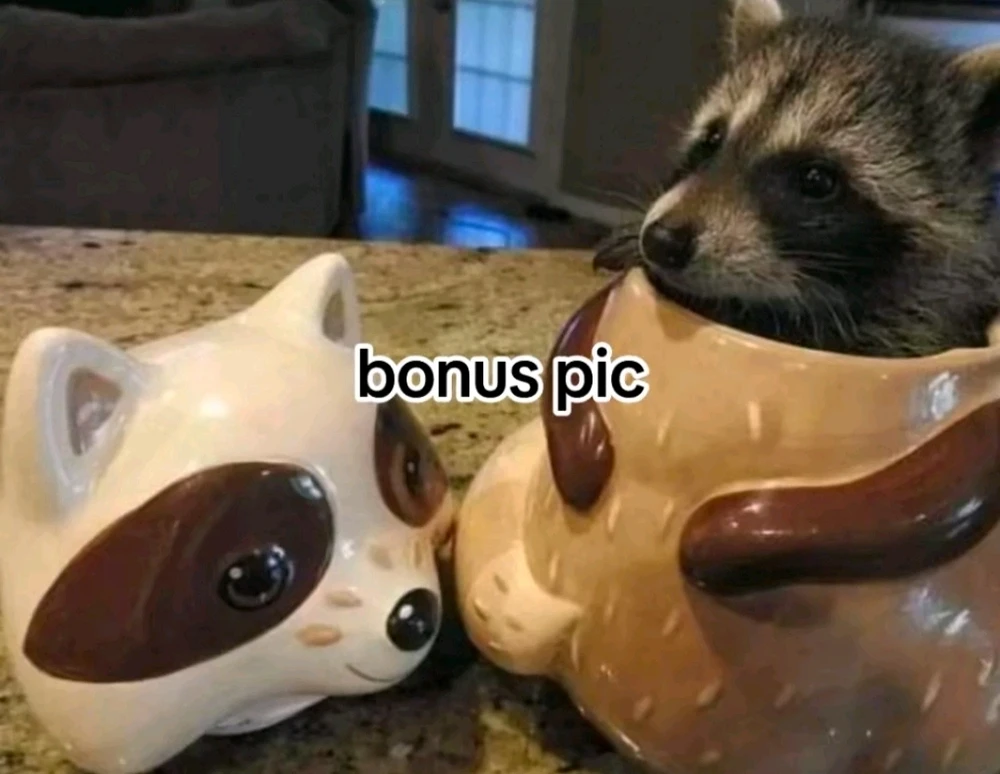 GIF uploaded by Aquarius®