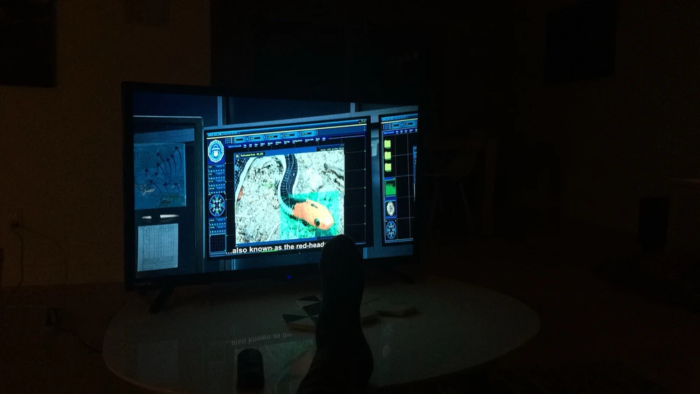 Image uploaded by Bora