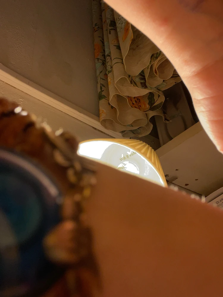 Image uploaded by Viola