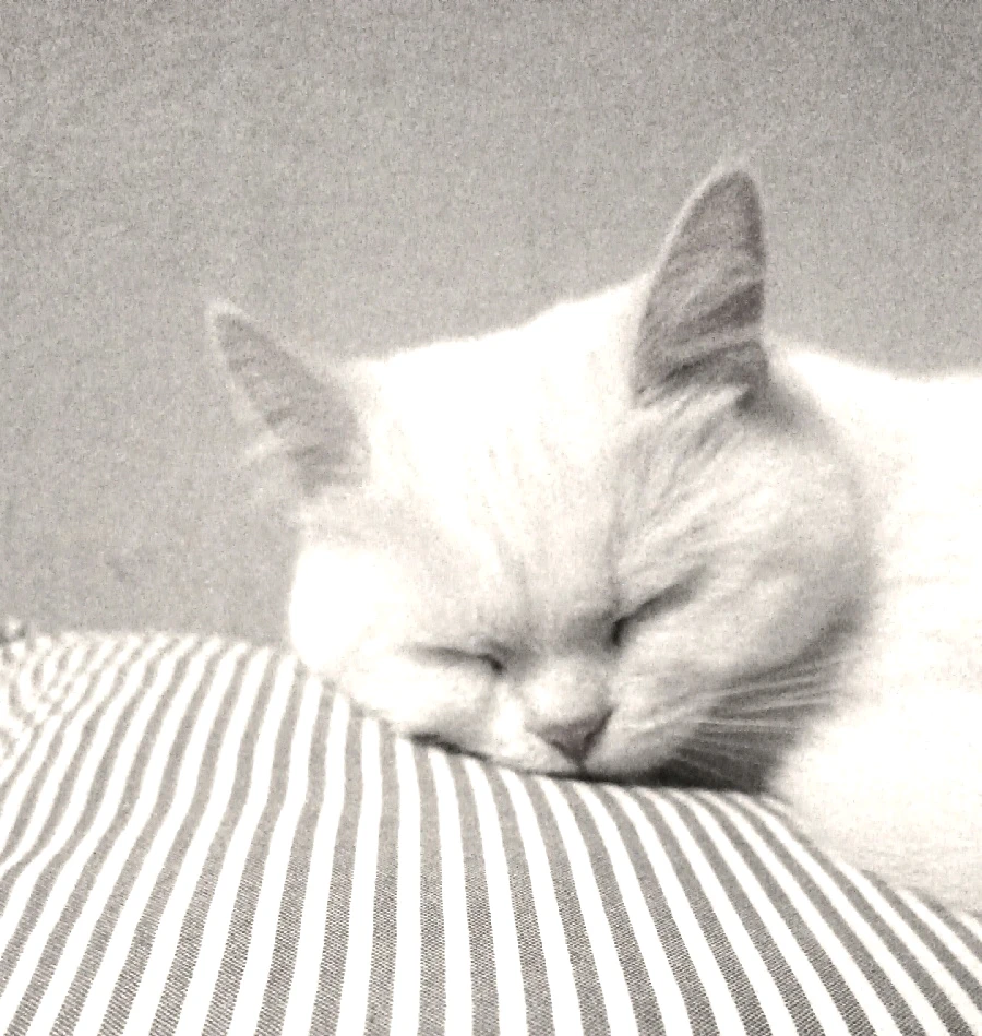 Floyd tarafından yüklenen GIF