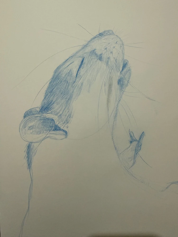 Image uploaded by Ren