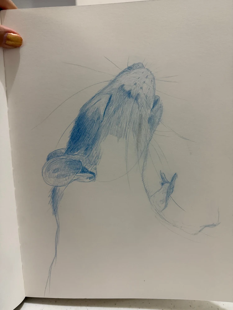 Image uploaded by Ren