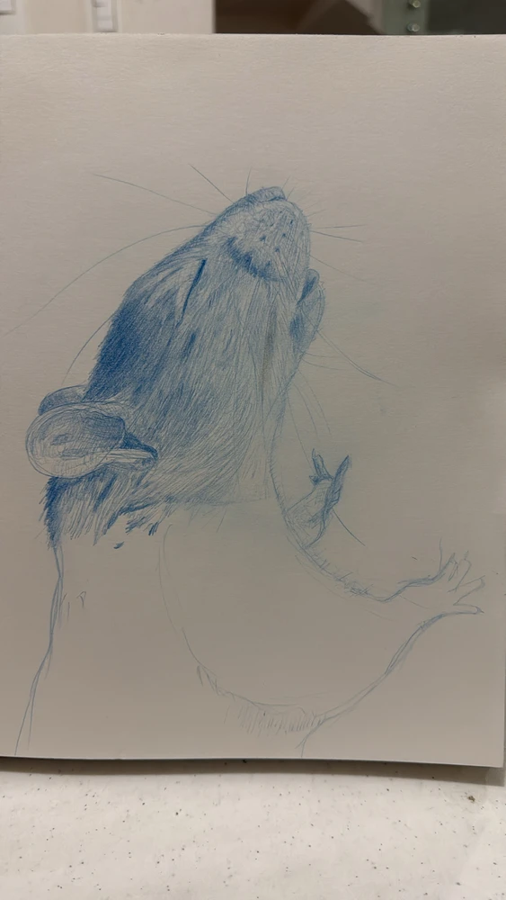 Image uploaded by Ren