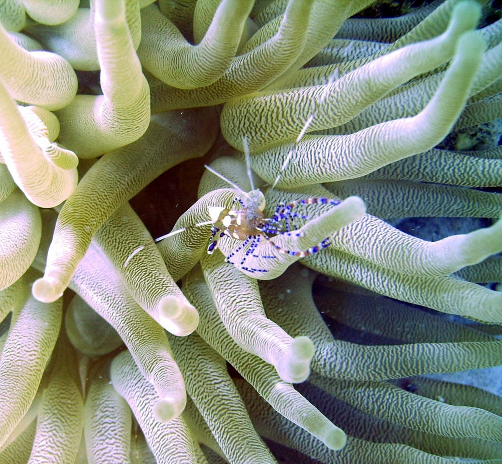 Stevenがアップロードした画像