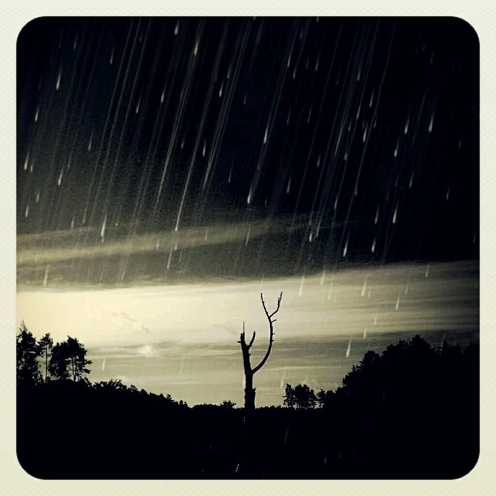 GIF dodany przez beardedTedy