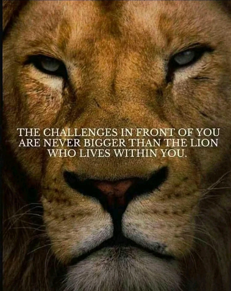 GIF hochgeladen von Piet