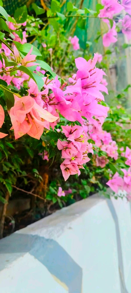 Image uploaded by ✨Femme Fatale✨