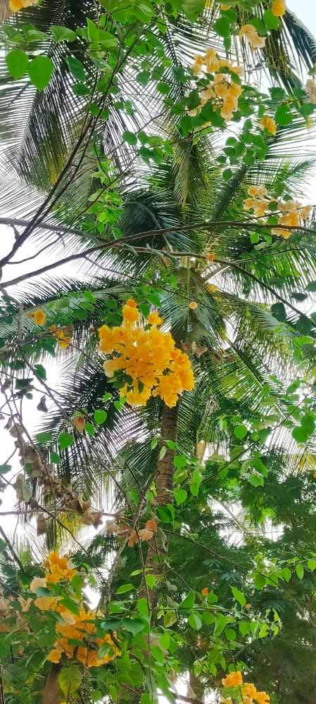 Image uploaded by ✨Femme Fatale✨