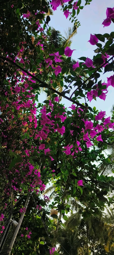 Image uploaded by ✨Femme Fatale✨