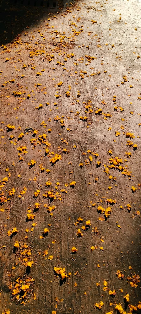 Image uploaded by ✨Femme Fatale✨