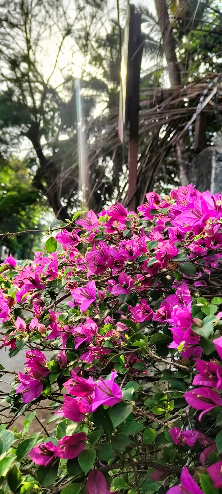 Image uploaded by ✨Femme Fatale✨