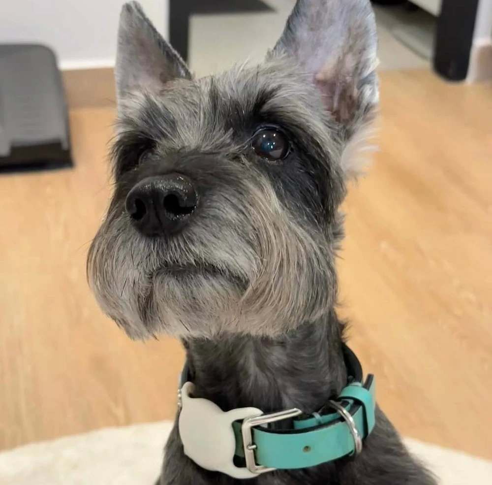 佐藤悠真がアップロードした画像