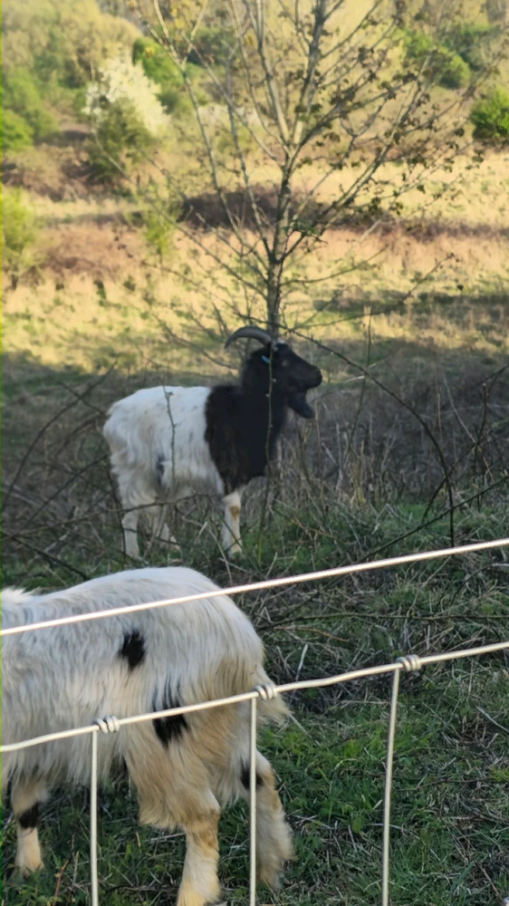 Image uploaded by Yami