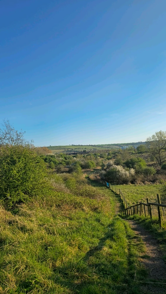 Image uploaded by Yami