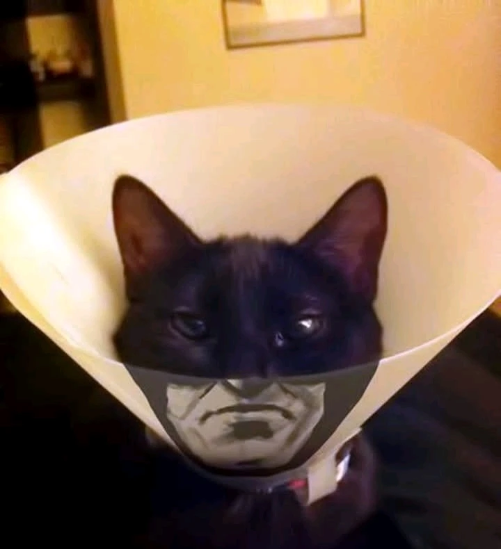 GIF hochgeladen von Doris