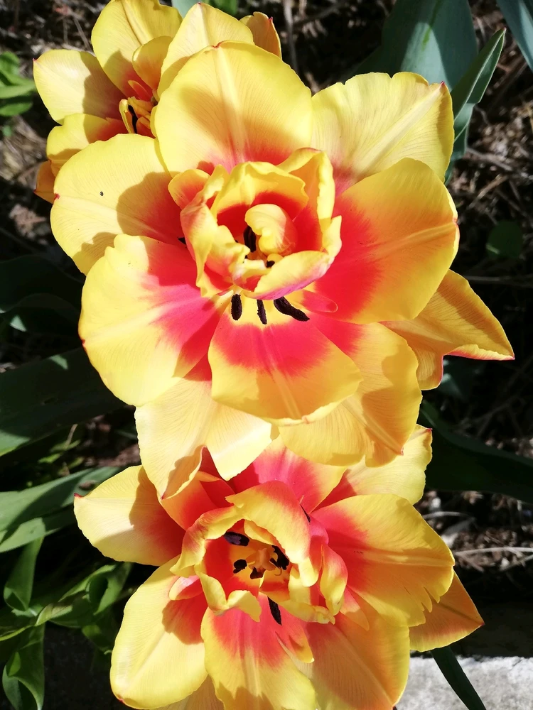 GIF uploaded by Kara