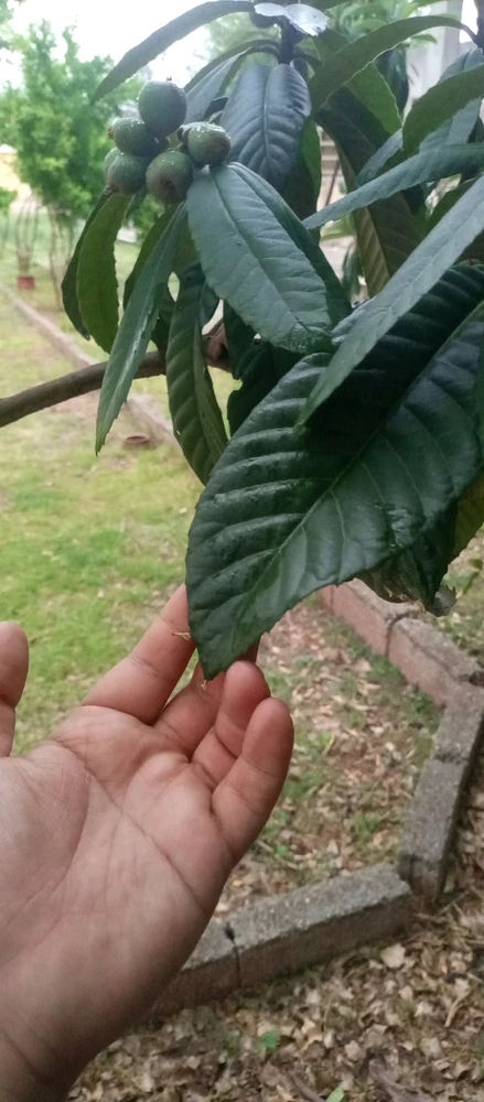 Image uploaded by Osama Ali