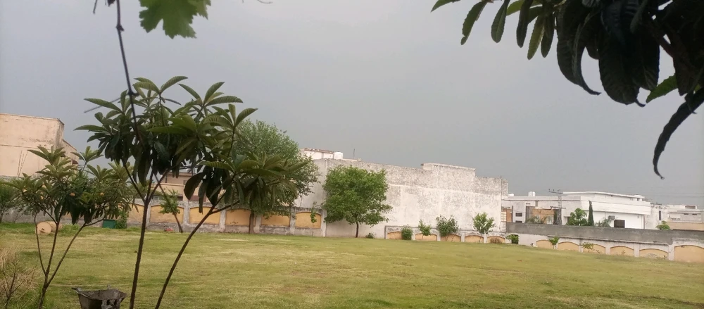 Image uploaded by Osama Ali