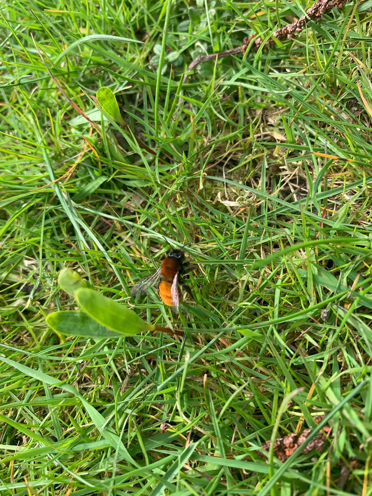 GIF uploadet af Viola