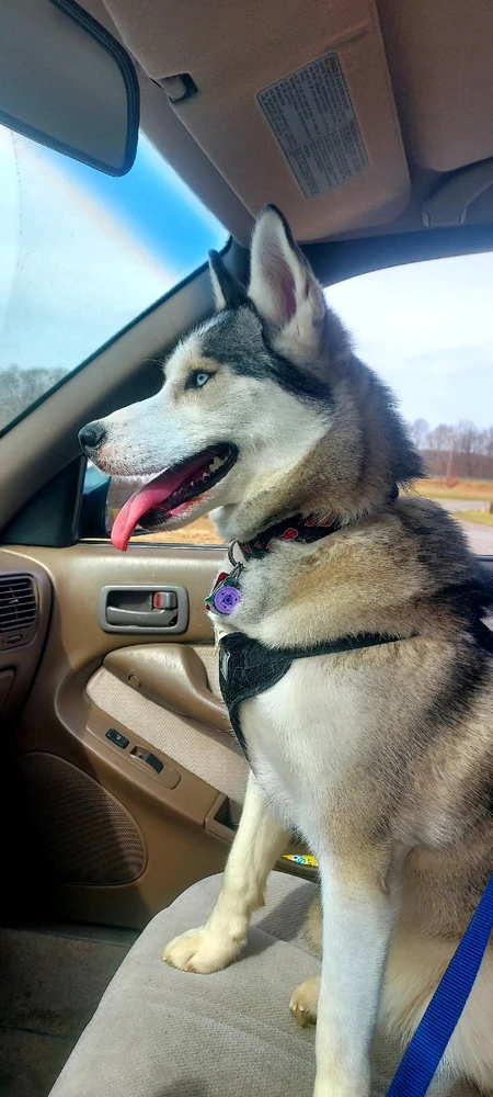 Image uploaded by Alex