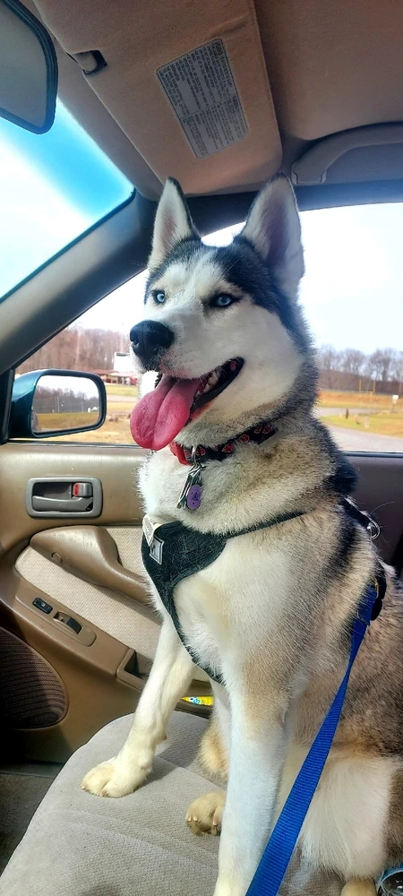 Image uploaded by Alex