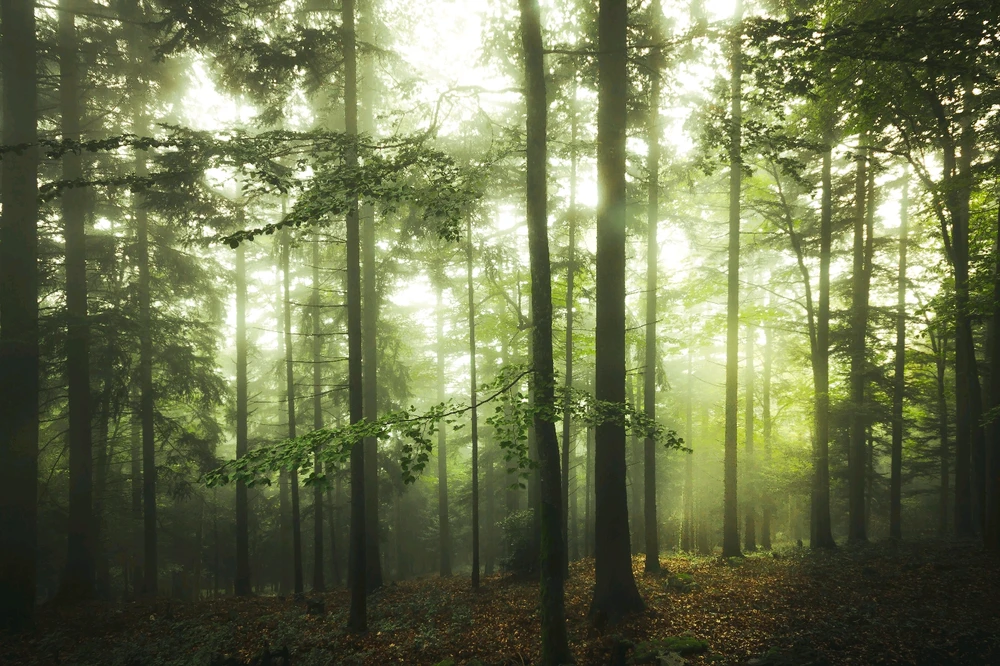 GIF ajouté par Gaël