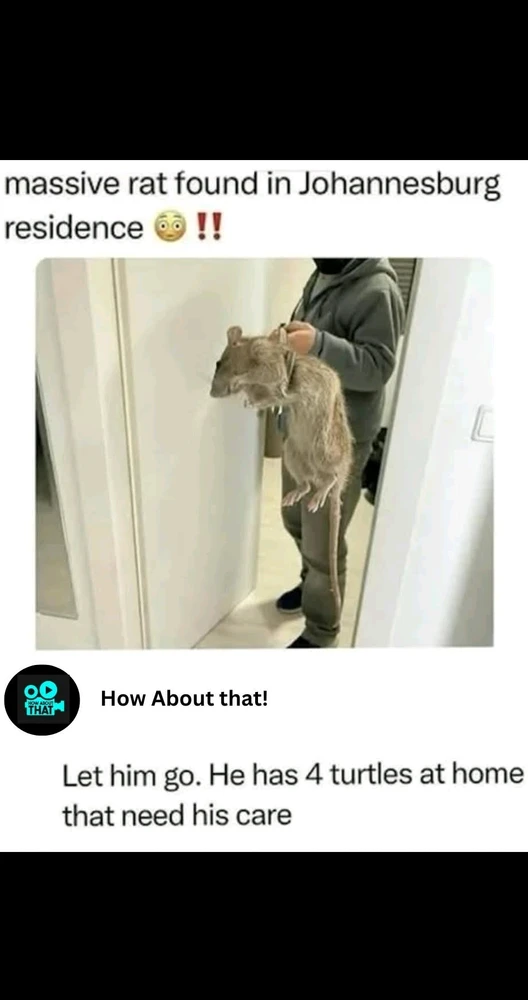 GIF încărcat de GFN