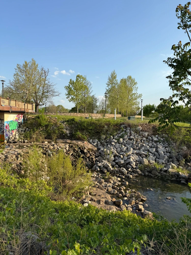 Image uploaded by Tigran